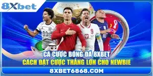 Cá Cược Bóng Đá 8xbet – Cách Đặt Cược Thắng Lớn Cho Newbie
