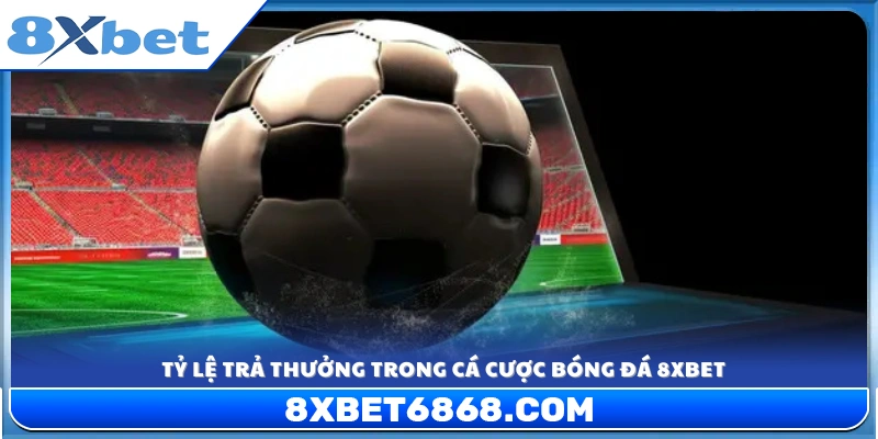 Tỷ lệ hoàn trả cao và minh bạch