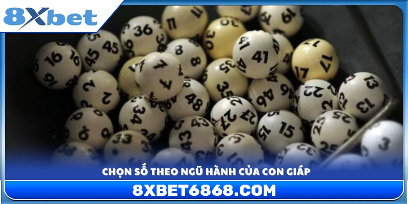 Cách lựa chọn con số may mắn dựa trên ngũ hành 