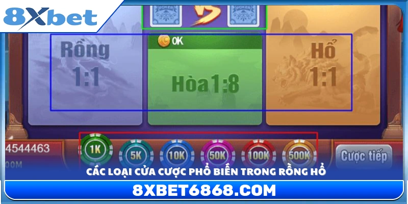 Những lựa chọn cược cơ bản trong Rồng Hổ