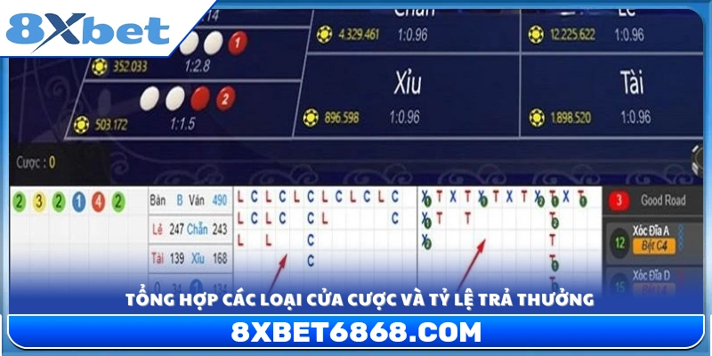 Phân tích các cửa cược chính và tỷ lệ ăn tiền tương ứng